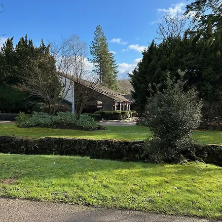 White Cross Bay Deer View *