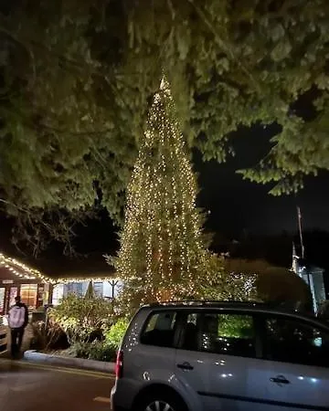 White Cross Bay Deer View * 温德米尔