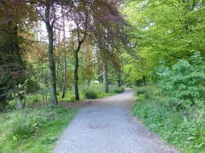 White Cross Bay Deer View * 温德米尔