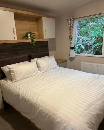 White Cross Bay Deer View