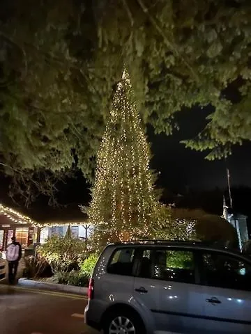 White Cross Bay Deer View * Windermere